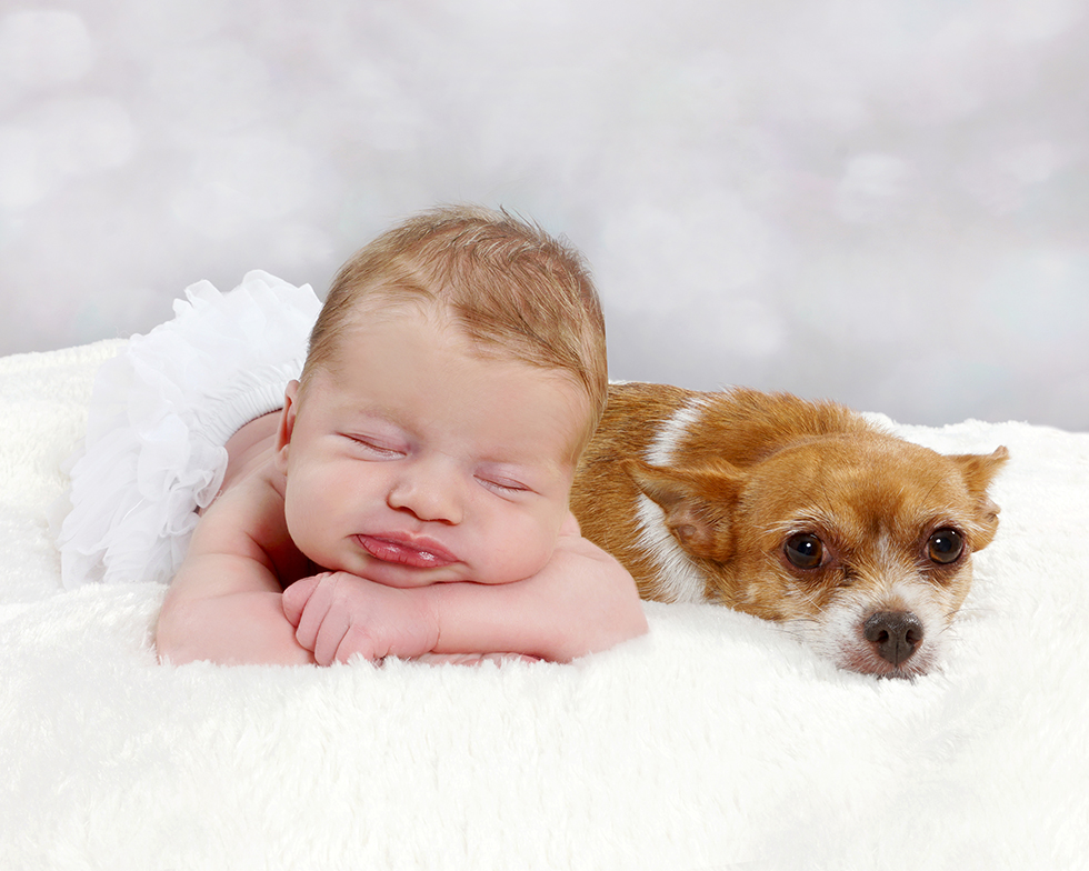 Newborn Maeve with her bestie 😍
SALE Prices published on website: bit.ly/35rMOvr
#newborn #baby #photography