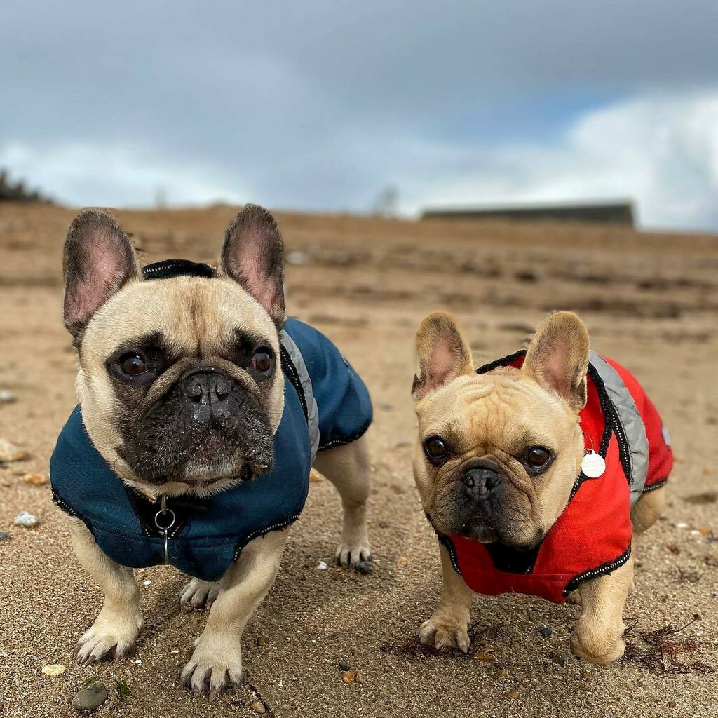 Stephen Rush tweet media