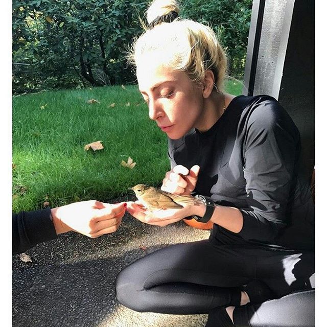 Lady Gaga: «I found a way to love myself again»
#LadyGaga https://t.co/KczB3u0QIi