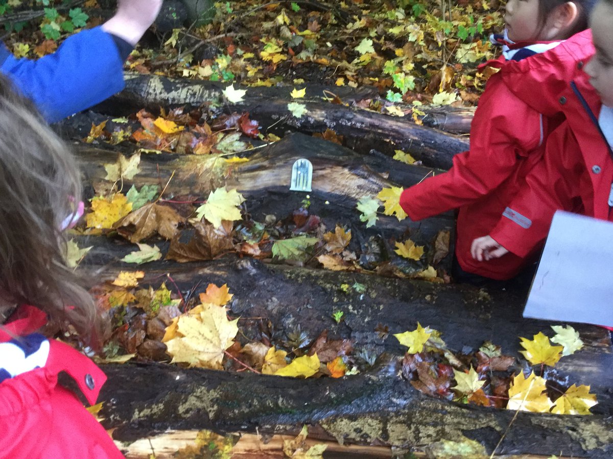 Westercraigs1's tweet image. "If you go down to the woods today you're in for a big surprise...or two!" Note- that thistle's actually called a cirsium @MairiMo @LfSScotland @ELCHeather @ELCScotGov @Jane_Arthur_ #learningadventures #goingouttolearn #datacollecting @MathsScot