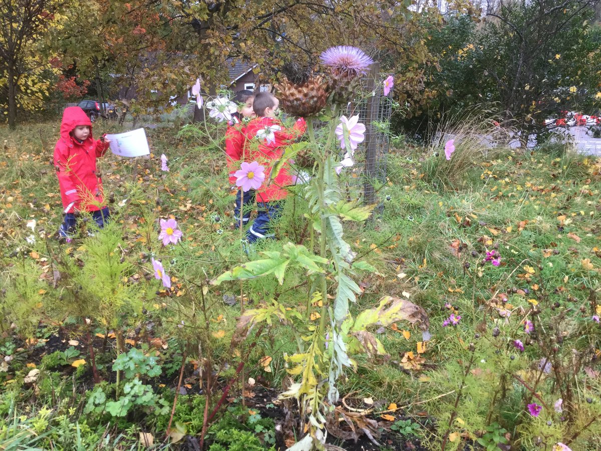 Westercraigs1's tweet image. "If you go down to the woods today you're in for a big surprise...or two!" Note- that thistle's actually called a cirsium @MairiMo @LfSScotland @ELCHeather @ELCScotGov @Jane_Arthur_ #learningadventures #goingouttolearn #datacollecting @MathsScot