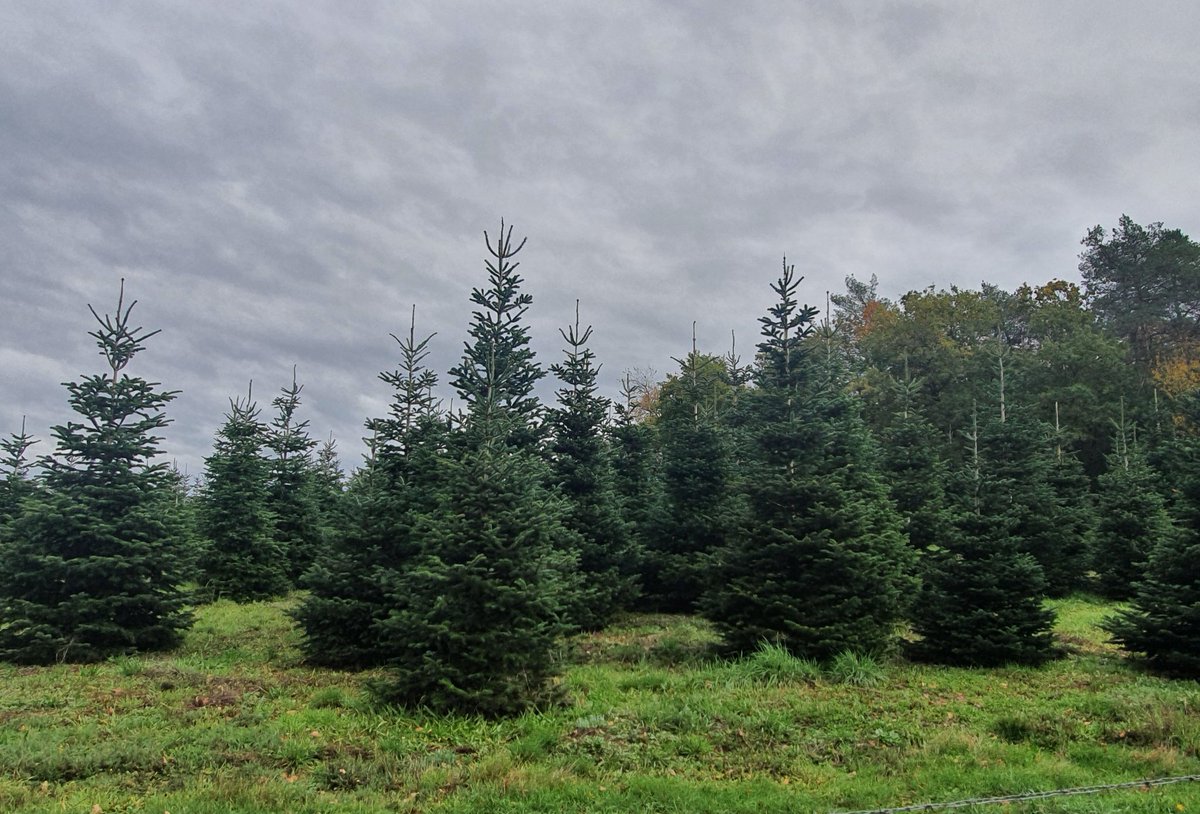 Anne-Catherine Loisier,Sénatrice de la Côte d'Or🌲 tweet media