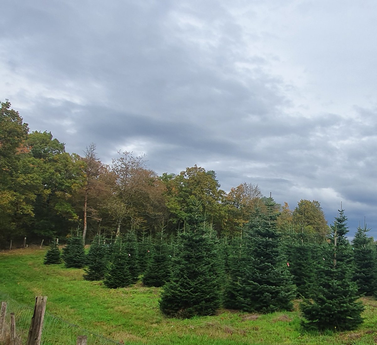 Anne-Catherine Loisier,Sénatrice de la Côte d'Or🌲 tweet media