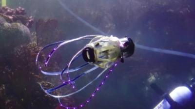ClbChrstnsn's tweet photo. Our robot made the @BBC! Time to celebrate with a warm beer! https://t.co/hbyBi8RyUn #squidbot #robot #robots #robotics #softrobotics #bioinspired CC @UCSDJacobs @BioinspiredUCSD @BBCWorld @BBCNews https://t.co/RzRyEnrgWb