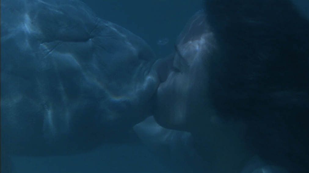 GIALLO_GIALLO's tweet photo. Water is frequently used by Dario Argento as a symbol of the unconscious.

THE STENDHAL SYNDROME / SUSPIRIA
INFERNO / PHENOMENA https://t.co/qvmNRwy5E9