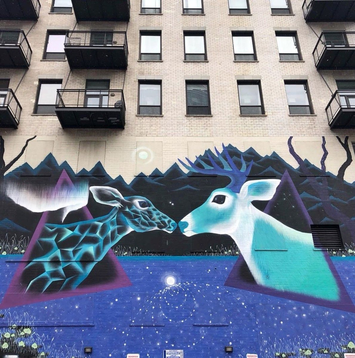 ¡Hoy te recomendamos 3 muralistas argentinxs!  

🎨Foto 1: Milu Correch

🎨 Foto 2: Franco Fasoli 

🎨 Foto 3: Marina Zumi 

¿Cuál te gusta más?

#Murales #muralistas #muralistasargentinos