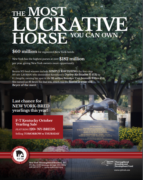 theTDN's tweet photo. A NY-Bred is the most lucrative horse you can own. This is your last chance for @nytbreeders yearlings this year! Click here to see the 120+ NY-Breeds selling at @FasigTiptonCo October: https://t.co/JEJgT8jRGp https://t.co/7E2CNpOQBy