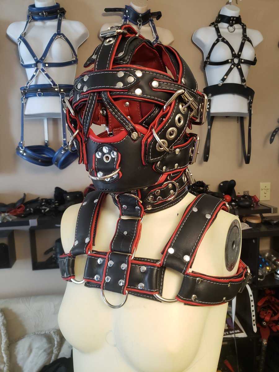 Finally finished this M5 with detachable bulldog harness. http://www.houseo...