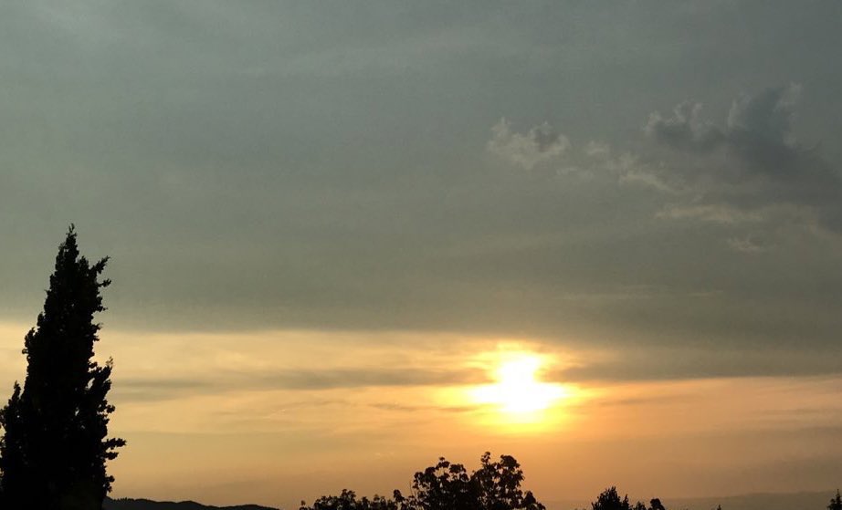 Se taire et contempler