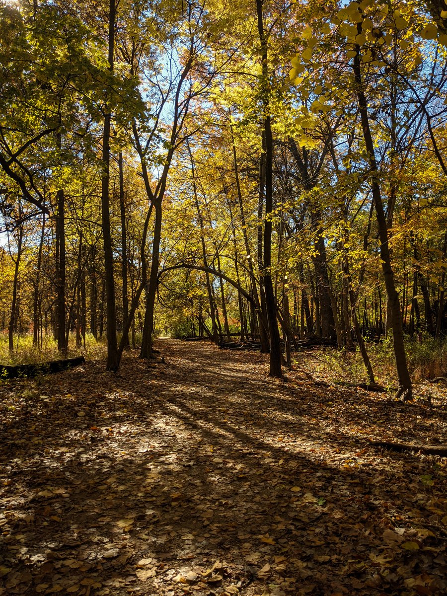 Caitlinosaurus5's tweet photo. Thank you fall ๐ and thank you family for these nice walks the last few weekends in a row, truly grateful for these moments of calm within the dumpster fire of 2020 #FindTheHappy #Gratitude https://t.co/pxoVzYTNqD