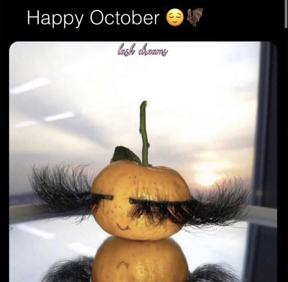 Avionaesthetics's tweet photo. Who Doesn’t Love October? 🤣😍
Shop @therealistpalace 🧚🏾♂️
✨
✨
✨
✨
#therealistpalace #miamifall #miamiboutiquesonline #miamistyleblogger #miamistyles💆 #smallbusinesssupportloop #trending2020❤️😍 #brandambassadormodel #miamimodelsneeded #miamilifestyle🌴 #miamilivings https://t.co/bSiZtKqI6N