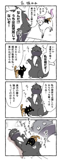乳吸われ屋とは何かという問い合わせがあった
#そねこねこ 