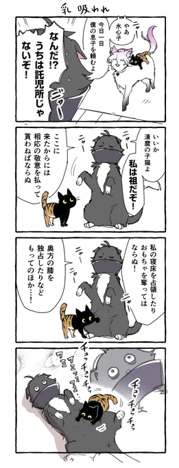 乳吸われ屋とは何かという問い合わせがあった
#そねこねこ 