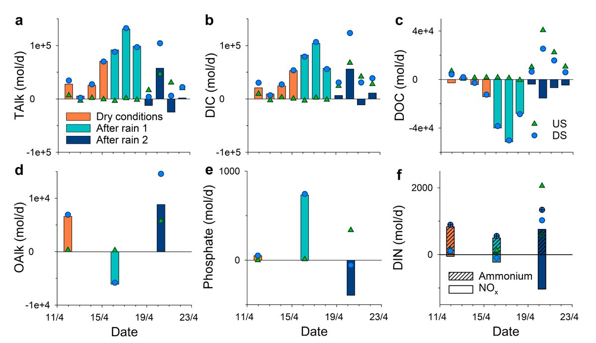 Dr. Gloria Reithmaier (@greithmaier) on Twitter photo Check out our new publication “Rainfall drives rapid shifts in carbon and nutrient source-sink dynamics of an urbanised, mangrove-fringed estuary”.
<a href="/Dr_Damo77/">Damien Maher</a> <a href="/Barefoot_Lab/">Prof Isaac Santos</a> <a href="/Drexl_Michael/">Michael Drexl</a>
#Mangrove #biogeochemistry #estuary #bluecarbon Available at: sciencedirect.com/science/articl… Check out our new publication “Rainfall drives rapid shifts in carbon and nutrient source-sink dynamics of an urbanised, mangrove-fringed estuary”.
<a href="/Dr_Damo77/">Damien Maher</a> <a href="/Barefoot_Lab/">Prof Isaac Santos</a> <a href="/Drexl_Michael/">Michael Drexl</a>
#Mangrove #biogeochemistry #estuary #bluecarbon Available at: sciencedirect.com/science/articl…