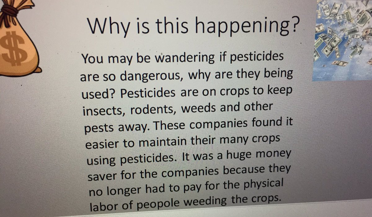 CoachMusaSW's tweet photo. If I could share the whole project I would 👏👏👏👏
‘an environmental issue and how it impacts our health’...
#health @sullivanwesths https://t.co/gURSdWD5Pm