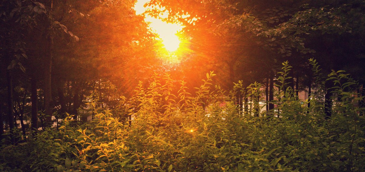 Өглөө болгон амжилтын эхлэл