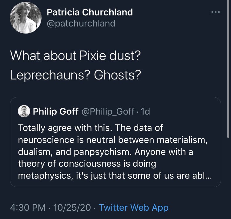 hey, has anyone ever compared panpsychism to religion? not only would that comparison make a *lot* of sense, it would be very original