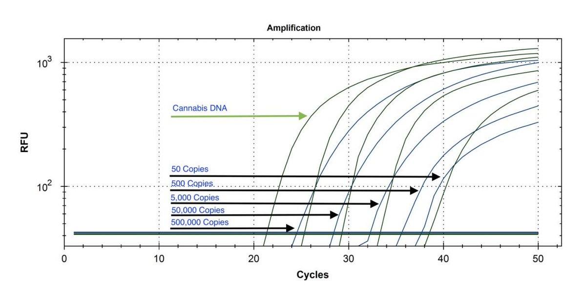 Cqs are an inverse Log2 scale. Each Cq digit is a factor of 2 so a Cq of 10 is twice as much RNA as a CQ of 11. There are ~3.3 Cqs for every factor of 10. One would use 2^7 or 128 fold to estimate how much difference there is for 7 Cq offset from 33 to 40.