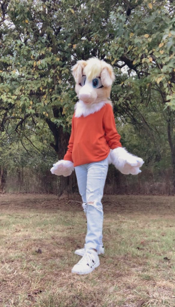 DreamyCorgi's tweet photo. It’s the most wonderful time of the year 🍁🍂🐶 https://t.co/G9Ozb2OewP