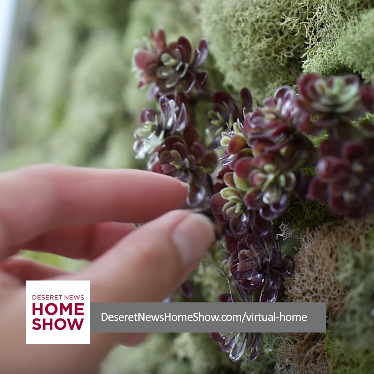 Visit the Virtual Showroom and watch Cheryl Torrenueva <a href="/Cher_Torrenueva/">Cheryl Torrenueva</a>, Designer &amp; TV Host, as she creates DIY Moss Art in an easy workshop. To watch, visit deseretnewshomeshow.com/Virtual-home