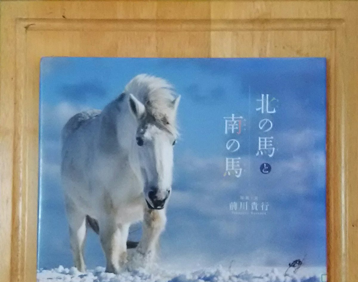 馬の写真集