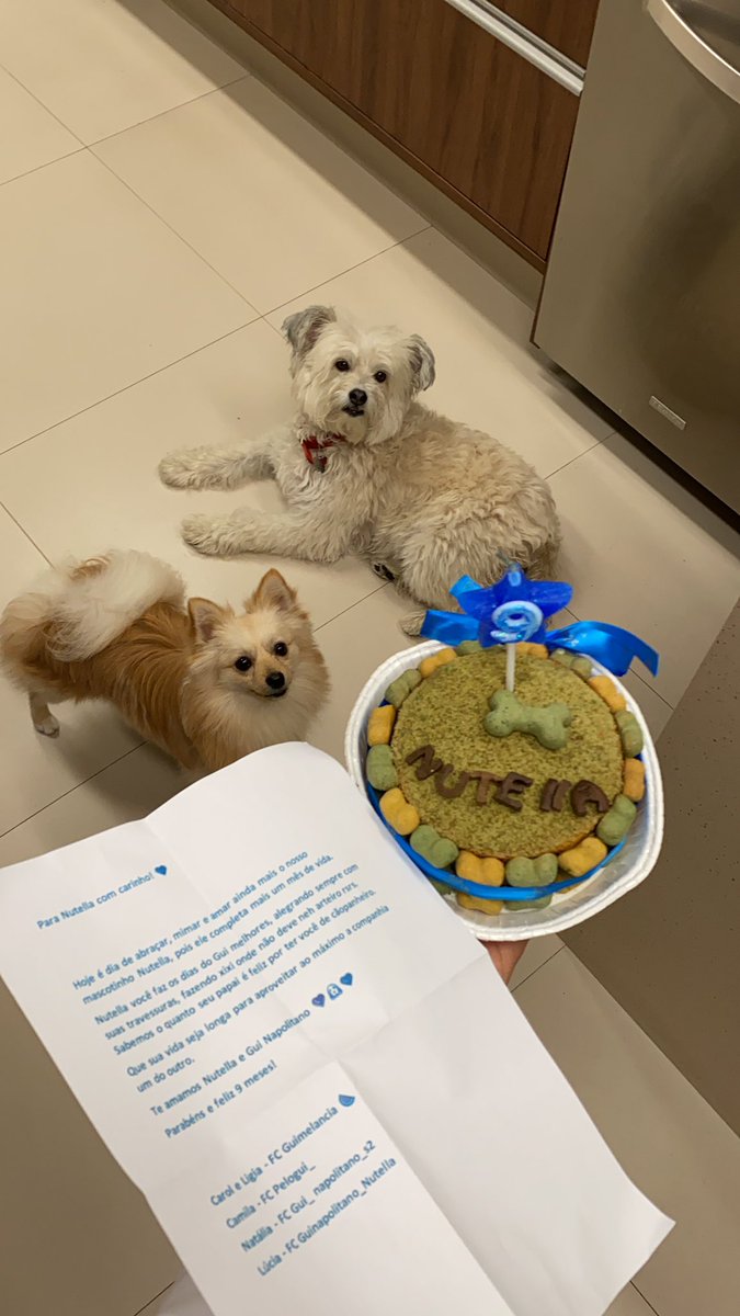guinapolitano's tweet photo. Obrigado meus amores! 😊❤️ https://t.co/BAT3KlKMen