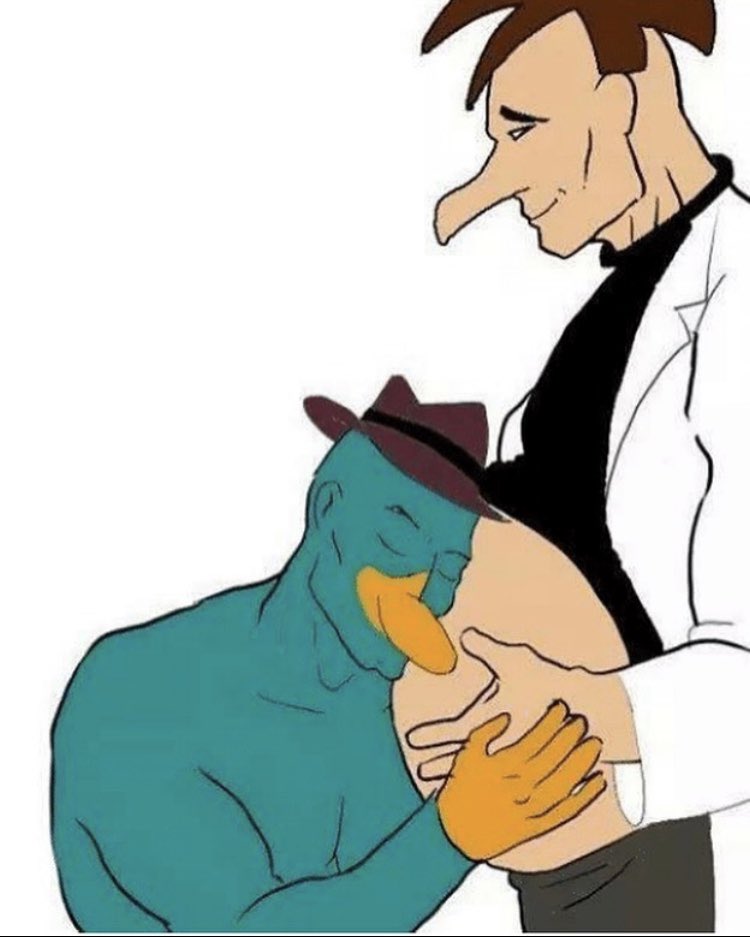 raphuwu's tweet photo. if i had to see this, yall do too #theDOMINGOeffect #MRPI2020 https://t.co/SRatf2BOSq