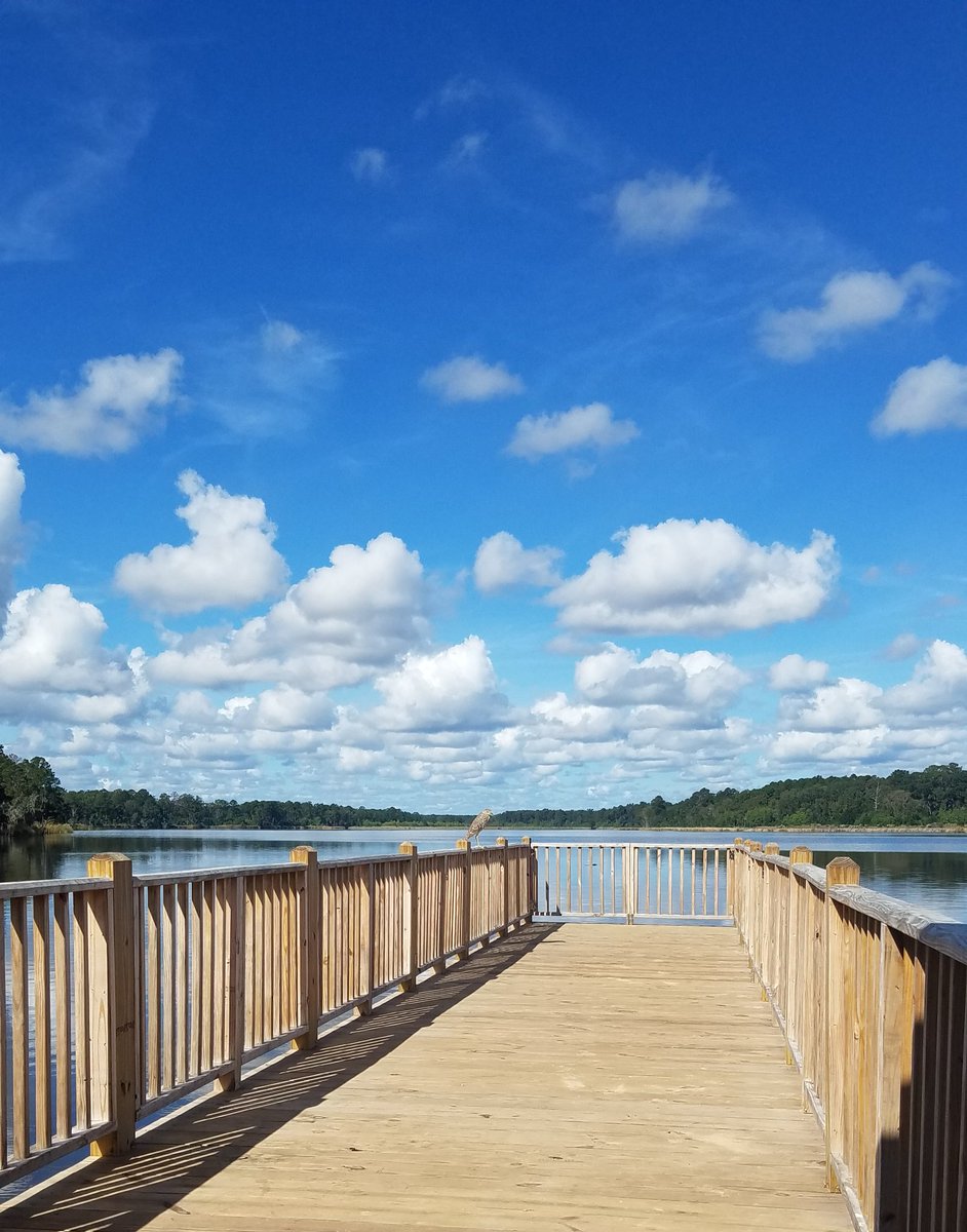 Dear South Carolina. We are a beautiful state. And while we breathe we hope. Let's vote blue to keep hope alive.

@harrisonjaime @Adair4Congress @JoeBiden @KamalaHarris @WatchYourRepsSC