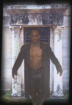 Vampires of NJ tweet media