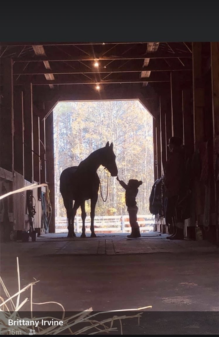 Just a girl and her horse :)