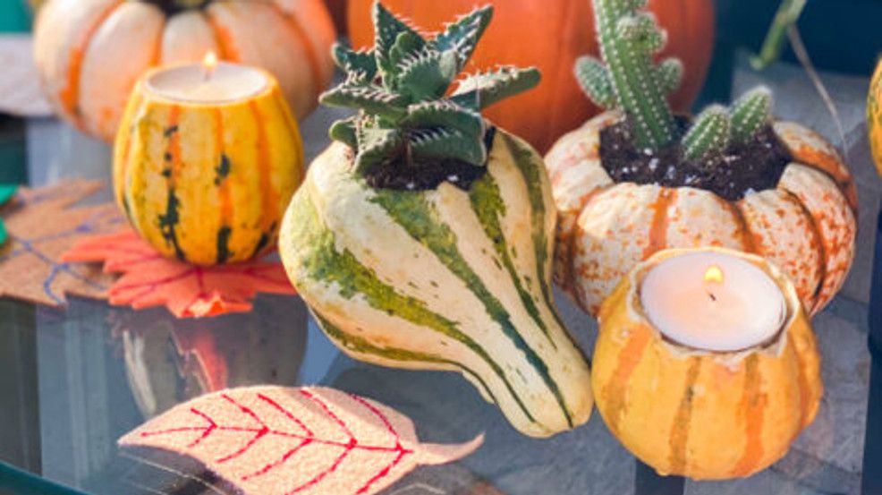 This is your last week for Halloween pre-game crafts! Get your quarantine circle together to make some fun gourd &amp; pumpkin succulents &amp; candles! Thanks for crafting with us on Good Day Columbus earlier this month Maria Durant &amp; Jackie Orozco ! 🍂 🎃 ☀️
buff.ly/3kuIpya