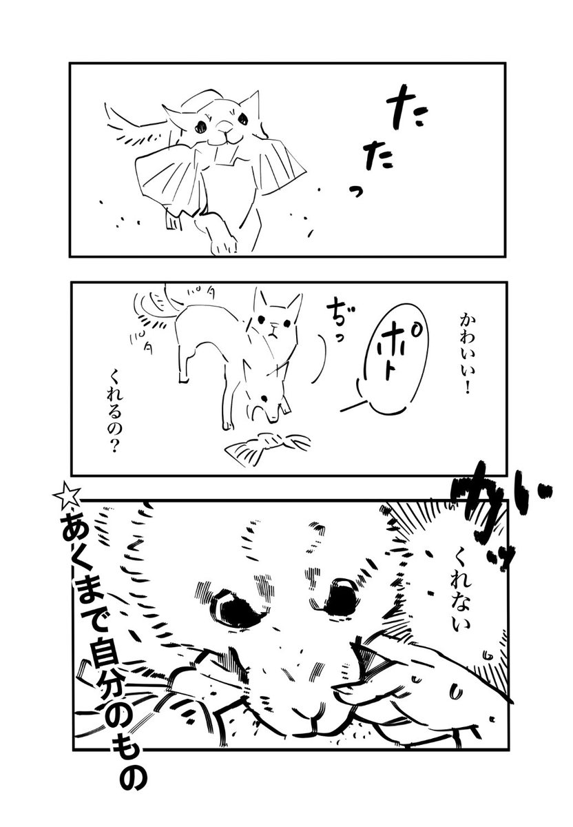 犬あるある 