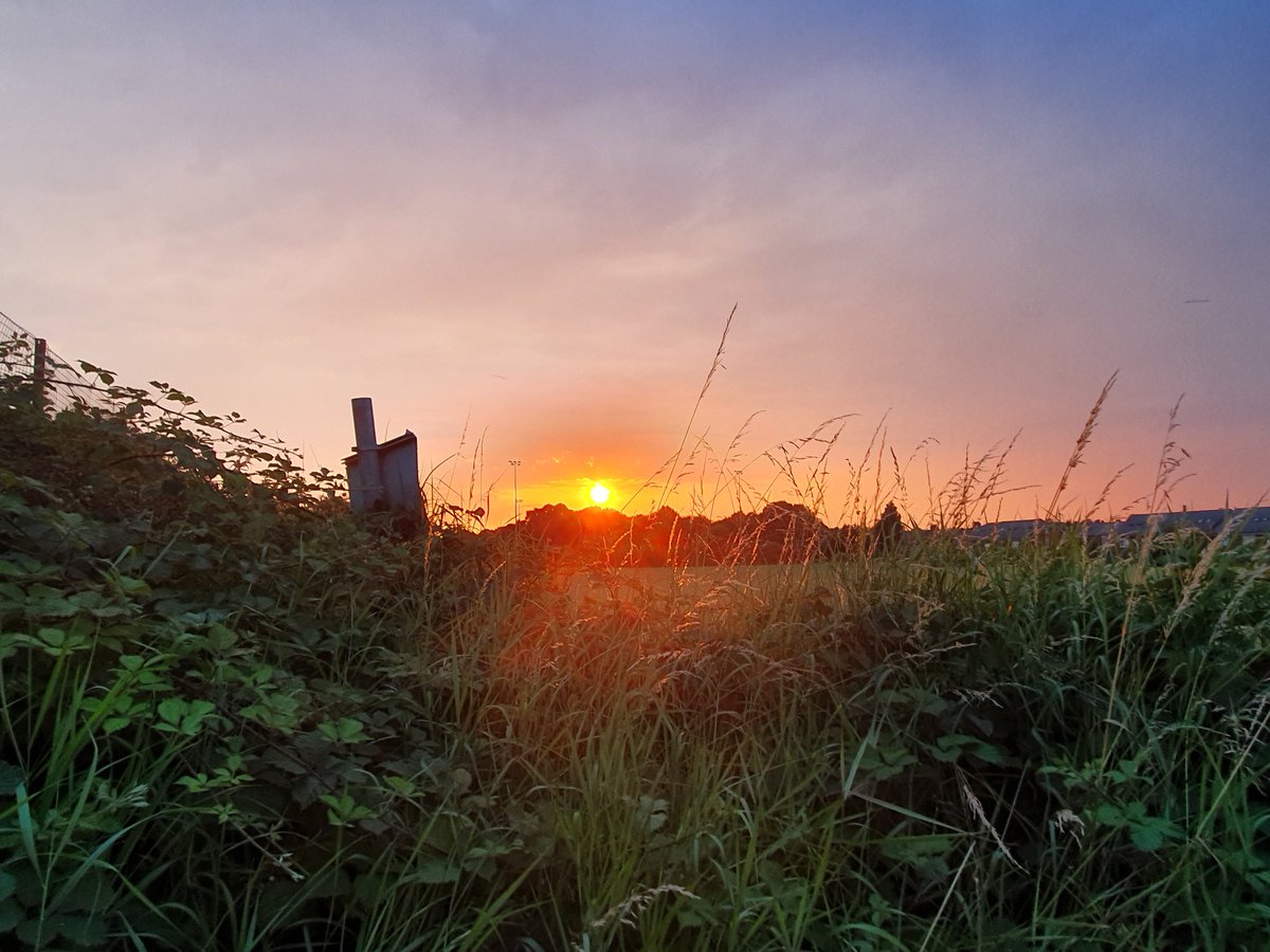 brookshaw_sara's tweet photo. #sunset #townsunset #fieldsunset #sunsetphotography #sunsets #sunsetlover #sunset_pics #sunsetmadness #sunsets_captures #sunsetpics #sunset_pic #sunset_photography #sunsetaddict #sunsetgazing #sunsetchasing #carsunset #nature #naturephotography #natureandsunset #sunsetpics https://t.co/UlCPH11GsR
