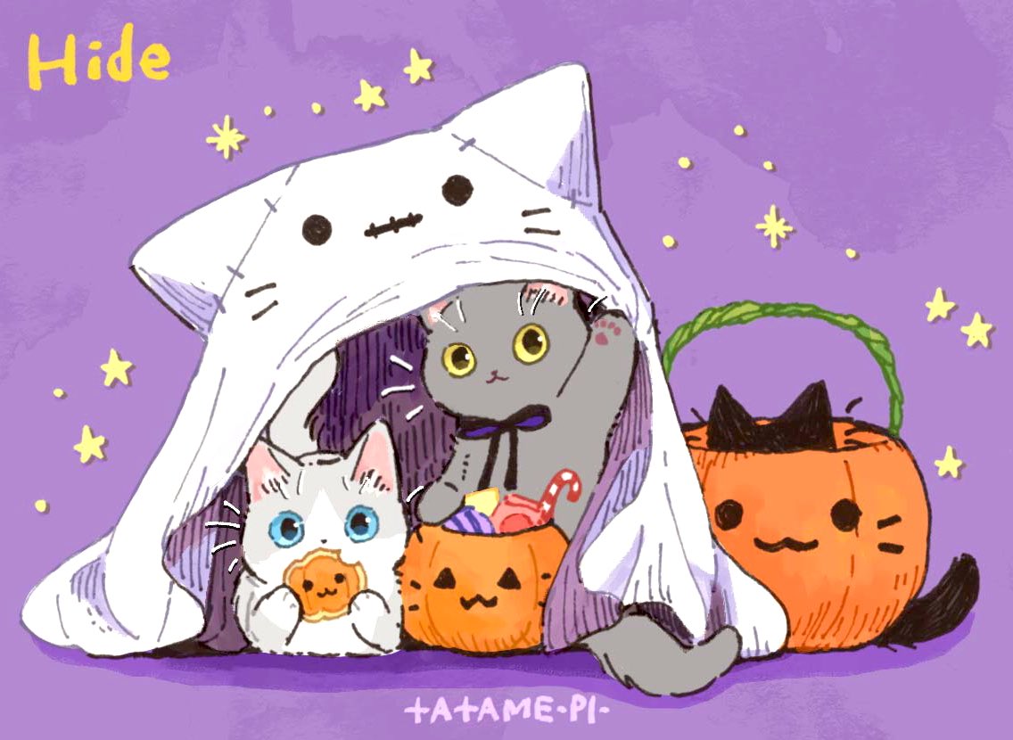 ghost costume cat candy halloween food no humans blue eyes  illustration images