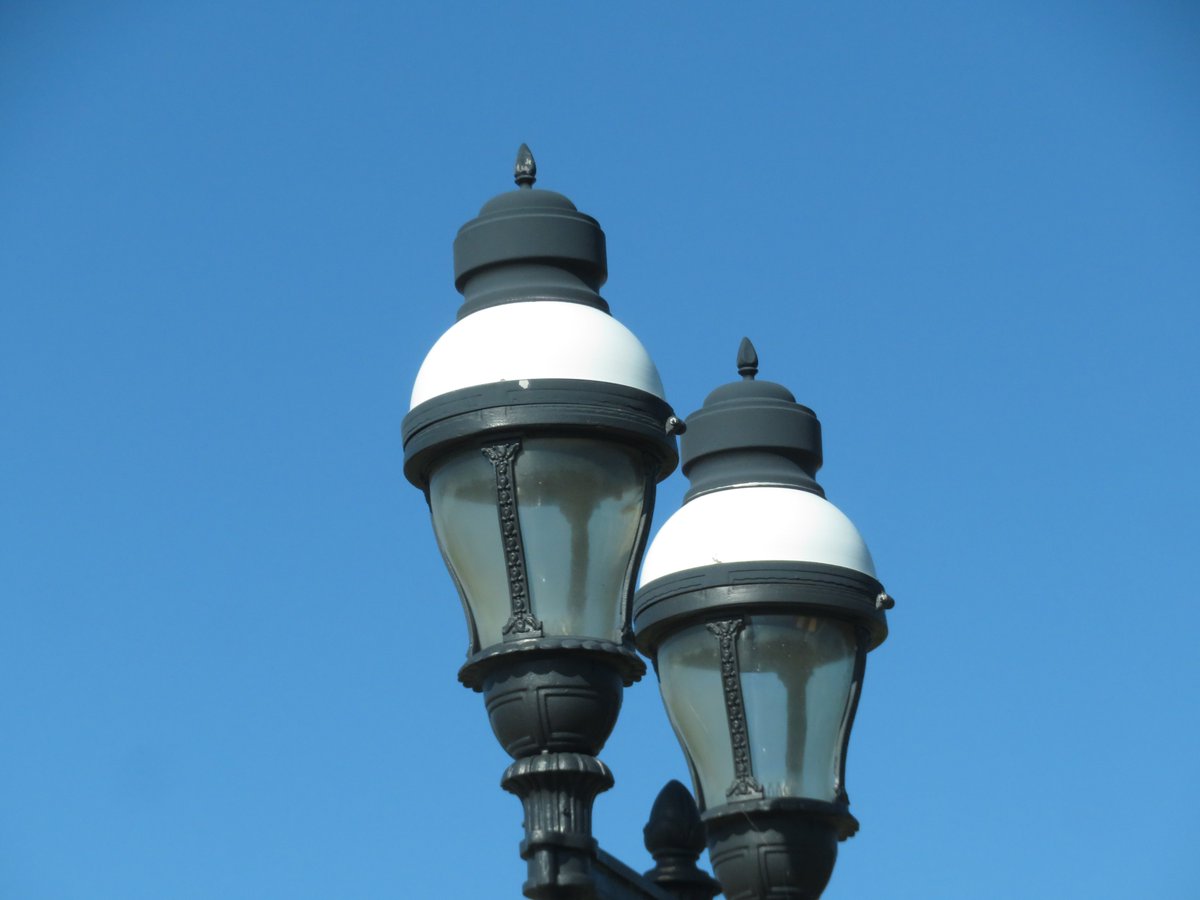 PLKlein_Author's tweet photo. "Strength does not come from physical capacity. It comes from an indomitable will." ~ #MahatmaGandhi #ThinkingOutLoud #ThinkBIGSundayWithMarsha #QuickQuotes #SundayMotivation #Strength #PhysicalCapacity #IndomitableWill https://t.co/DoVcCdYBP0