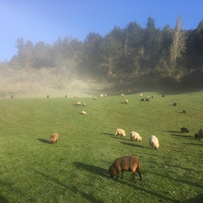 fedicalo's tweet photo. #NuevaFotoDePerfil https://t.co/GGTFL2EnJy