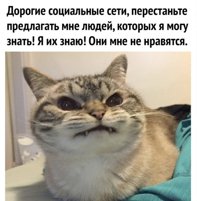 ElO2HwUXEAAZyka?format=jpg&name=900x900