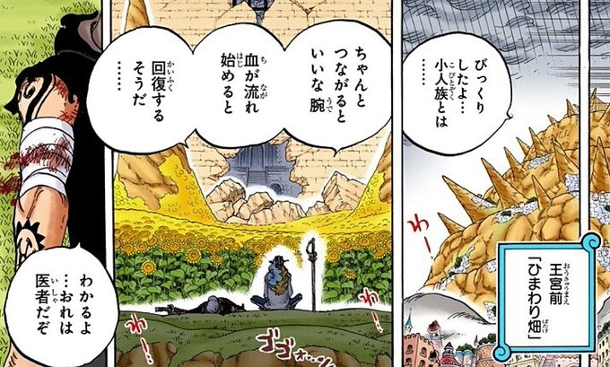 ローの腕はその後誰が治療した ドレスローザで切断した右手はオペオペの実で治る ワンピース Omoshiro漫画777