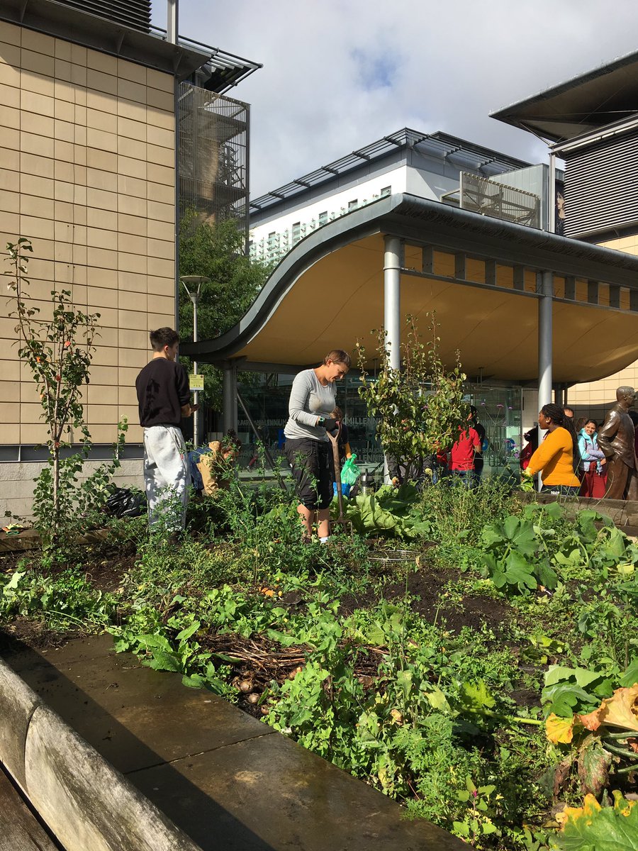 Sara Venn 🏳️🌈🏳️⚧️ she/her tweet media