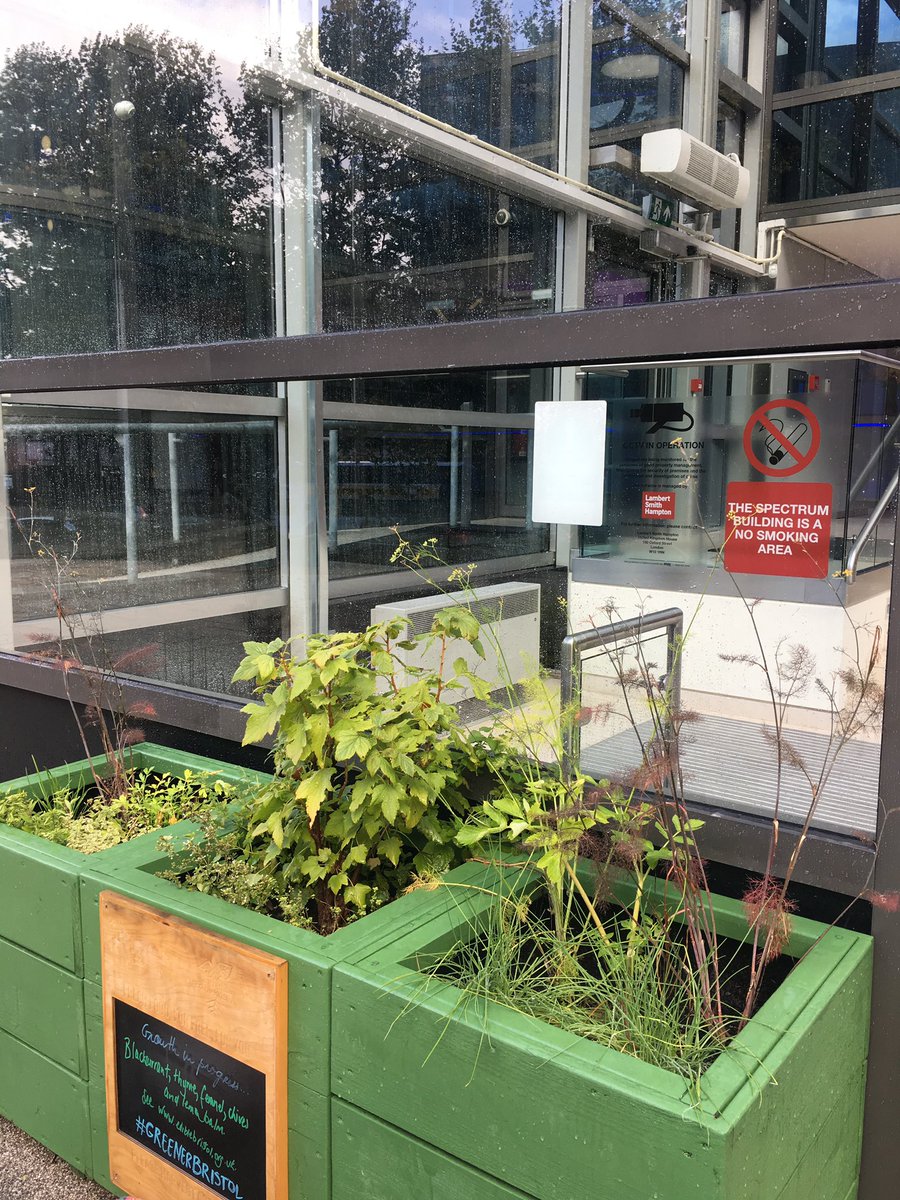 Sara Venn 🏳️🌈🏳️⚧️ she/her tweet media