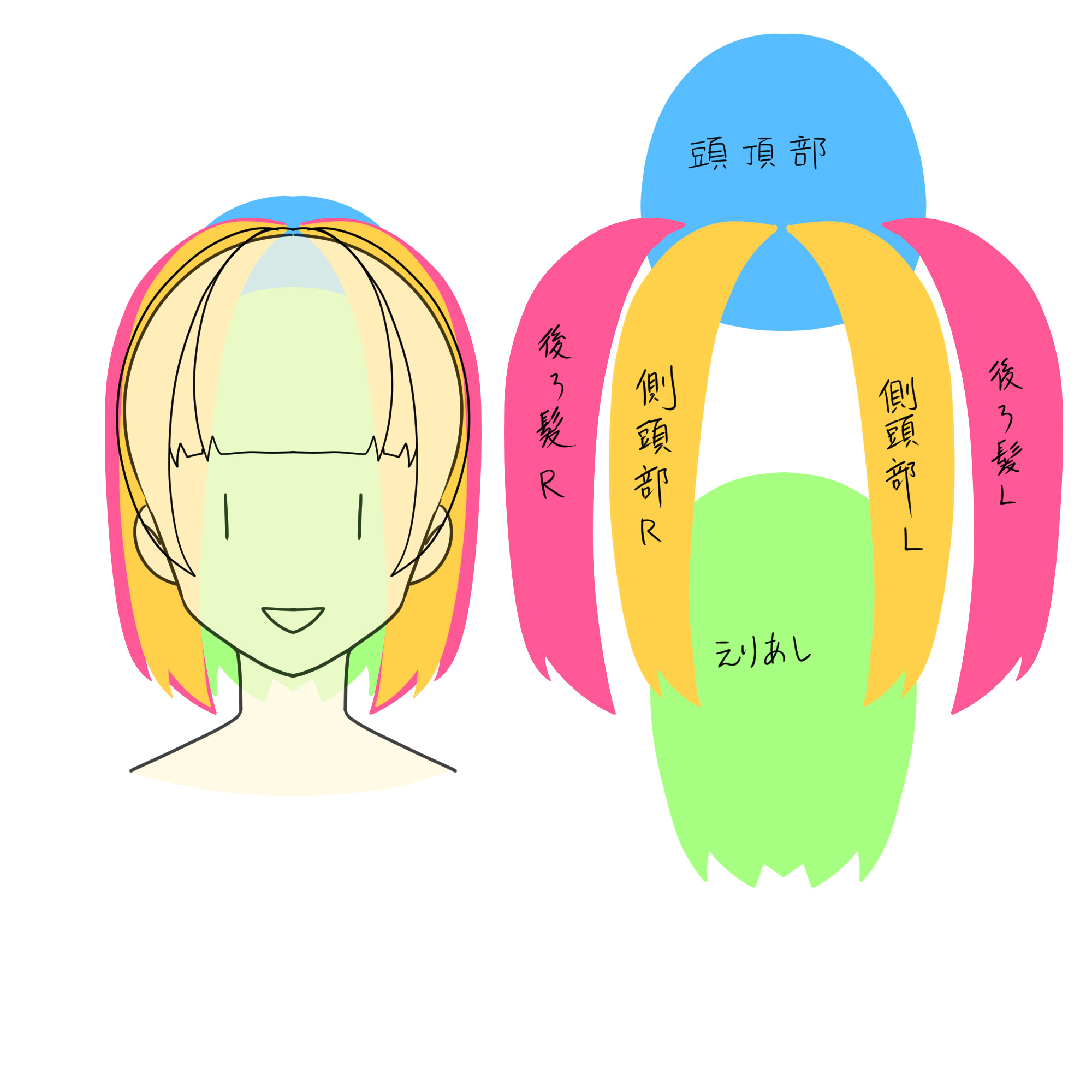あまとうこ Live2d イラスト 補足です かなりごちゃごちゃ書いてますが 私がイラストから描くときに気を付けていることをざっと書きました 1枚目は後ろ髪 だけ なので 前髪及び横髪の説明は省いてます 人にもよりますが パーツが多くて管理が大変な