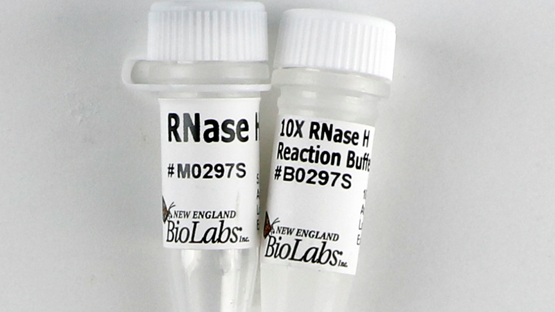 RNases are cheap and as ubiquitous as chalk in a classroom in the genomics field. They are easily used and deactivated with RNase blockers.