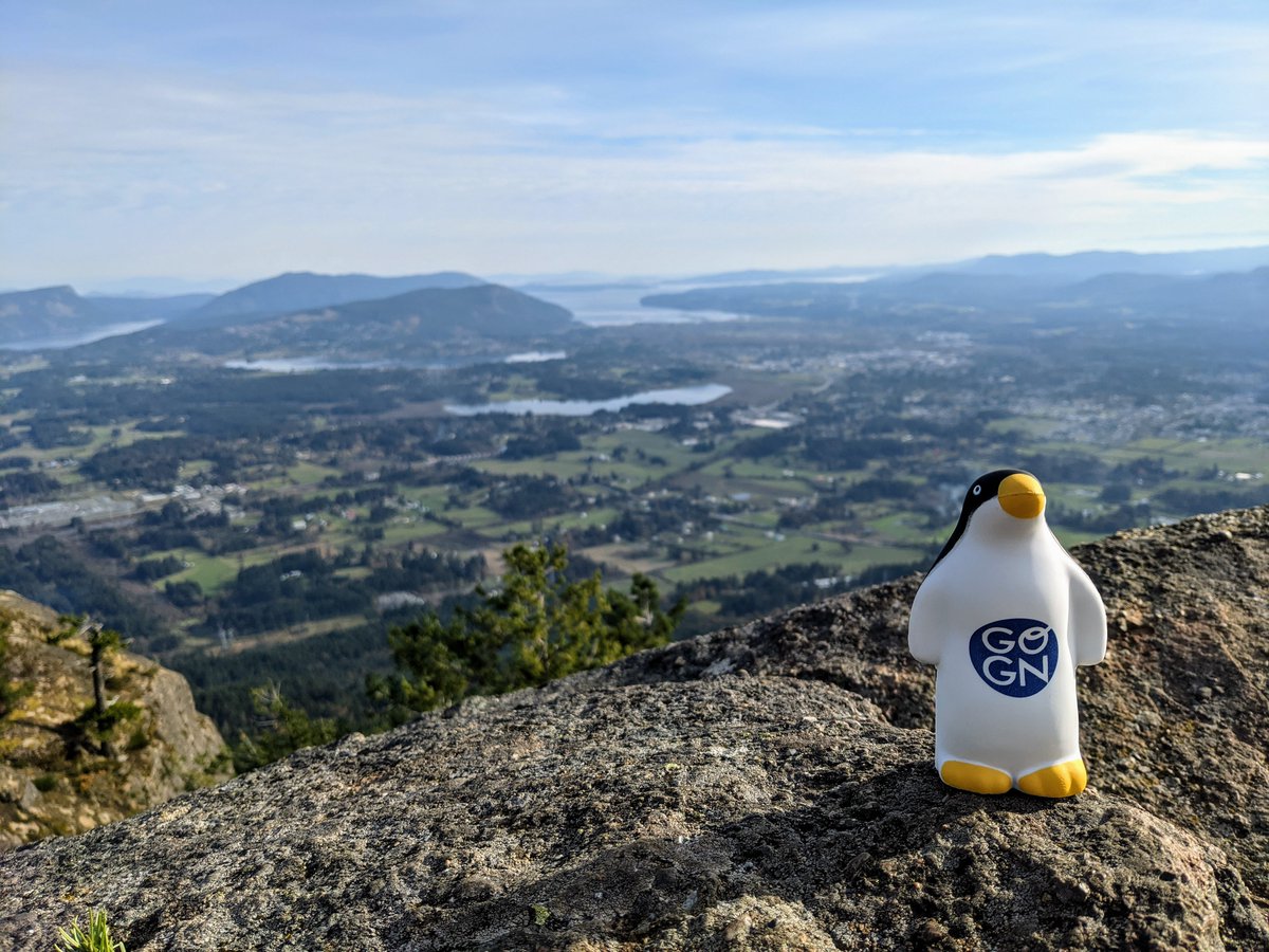 mpaskevi's tweet photo. Thank you to the #GO_GN network for many years of excellent support, fostering connections to new friends and colleagues, and prompting new ideas in the area of open education. I am very happy to have my GO-GN penguin with me on the journey :) https://t.co/5AjHo55NC5