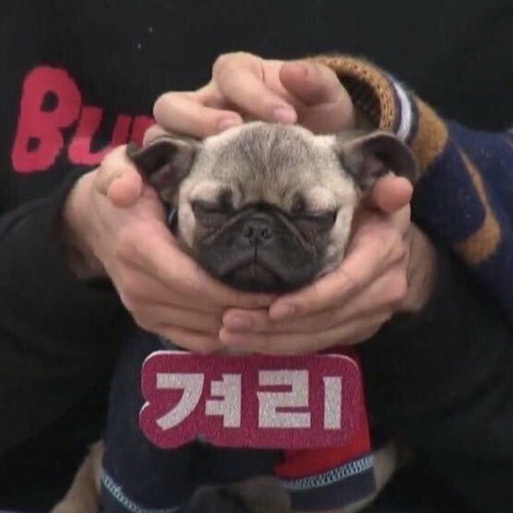 pug                   sug