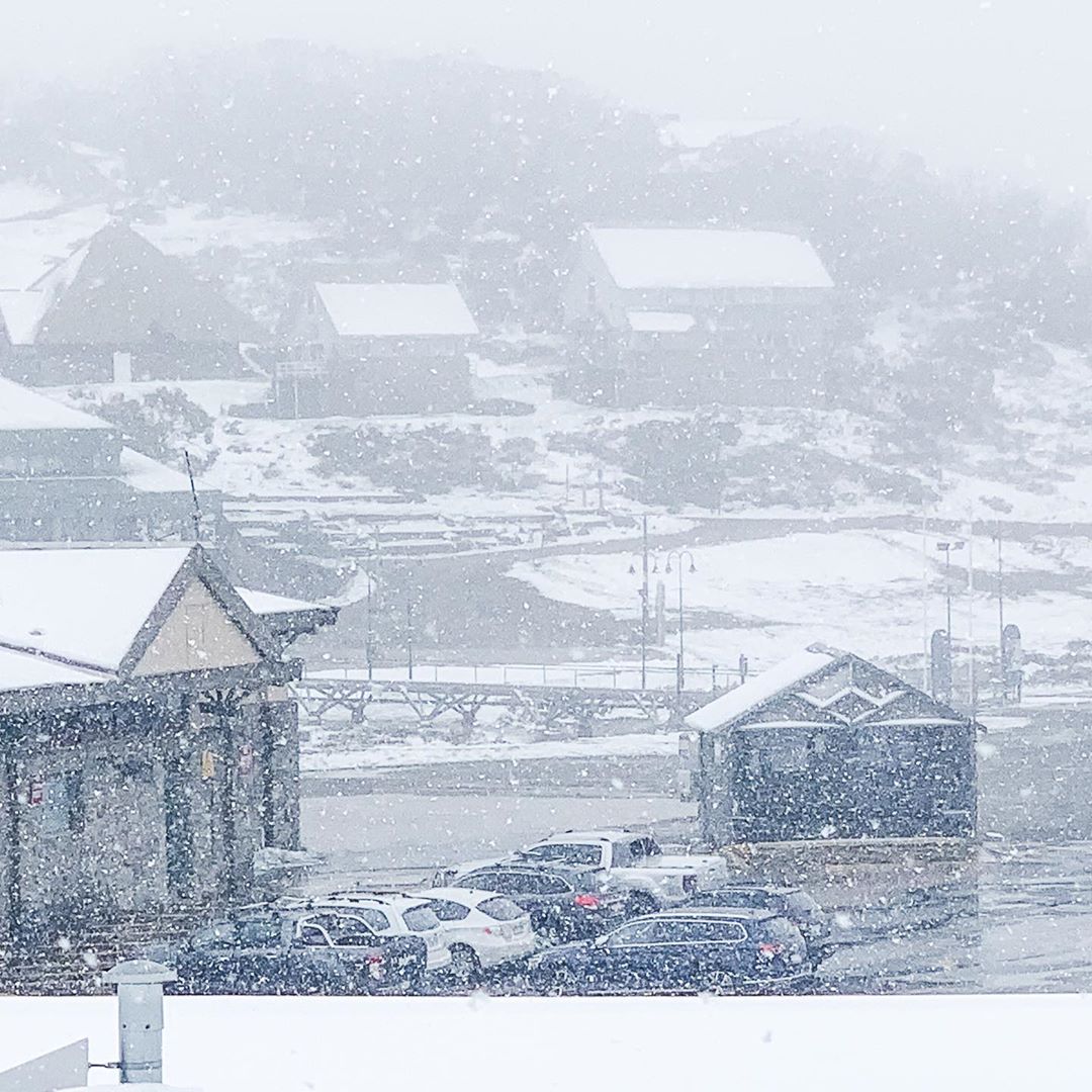 SNOWSEARCH australia tweet media