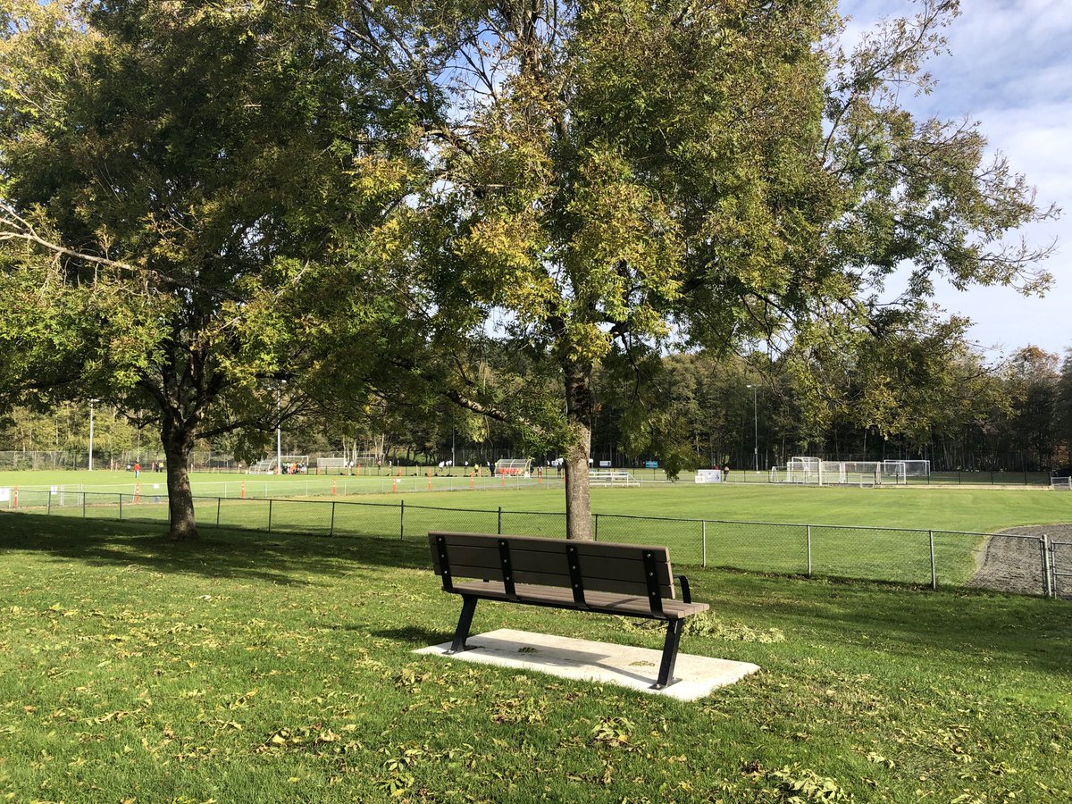 gardentiger's tweet photo. Glorious bike ride along #LochsideTrail #yyj stopped in at a favourite place of times past. Little green tree frogs used to live in the forest there. I can see my brother on the pitching mound, Dad giving signals down the first base line and Mum diligently taking her own stats π https://t.co/q7C35Ggl9r