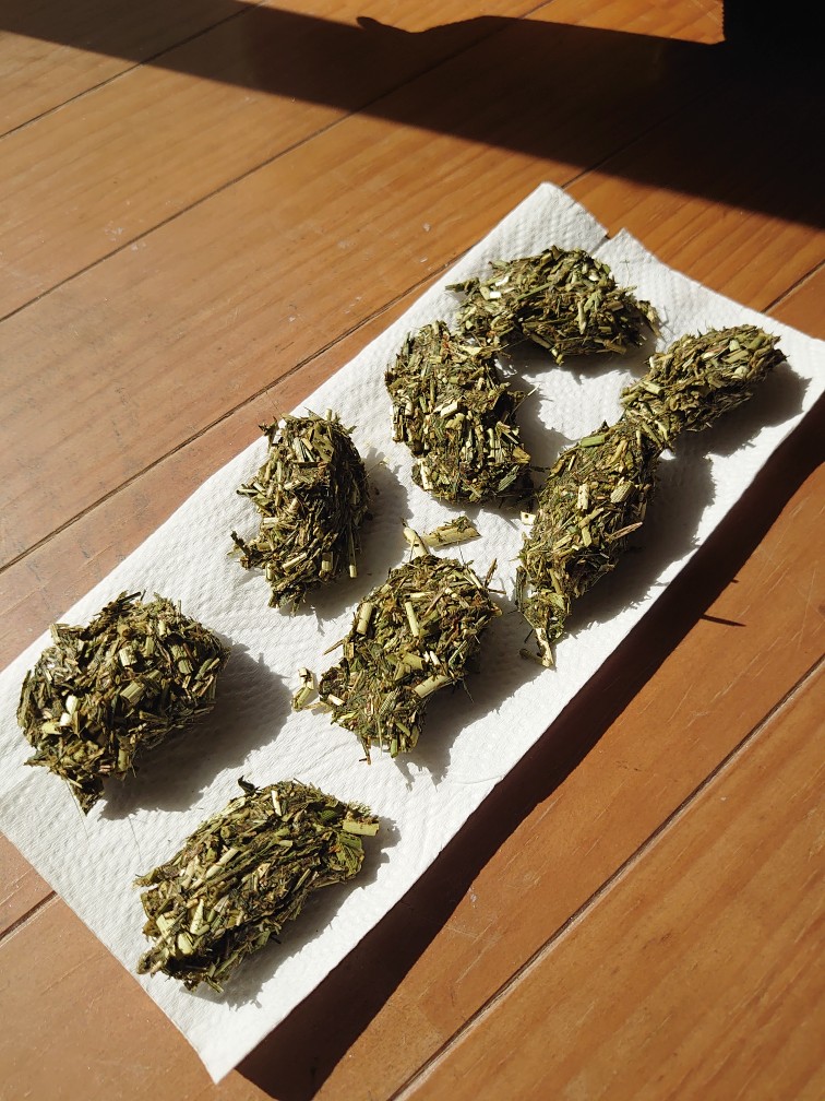 morino_b08's tweet photo. 2回目の牧草クッキー！
前回よりもだいぶ適当に作ったからペレット足りなくて、乾燥したらボロボロになるかもしれないw
そろそろ冬用に模様替えしたいけどちょっと手狭なので近々ケージ拡張するよ(* ॑꒳ ॑*) https://t.co/lv7kQS7F83