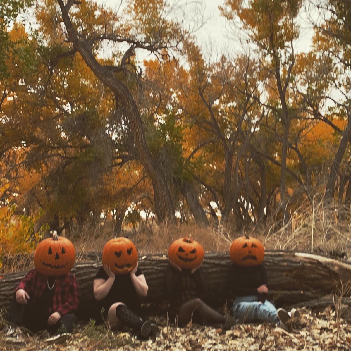 jackie19xx's tweet photo. 🖤🎃 https://t.co/3kyHIx3VrW