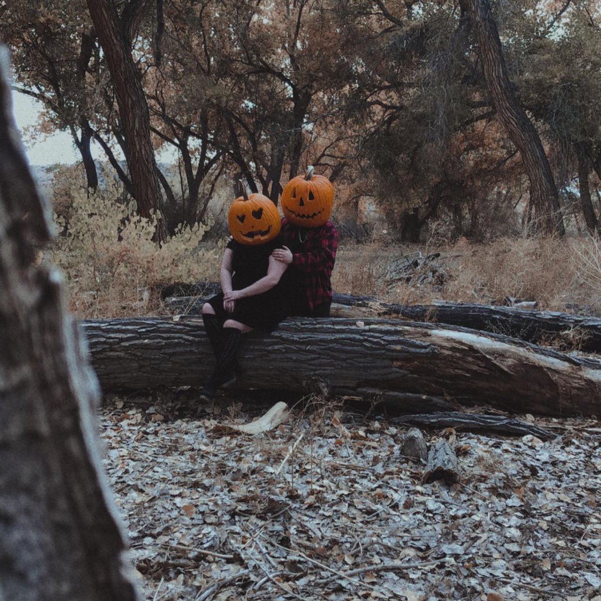 jackie19xx's tweet photo. 🖤🎃 https://t.co/3kyHIx3VrW