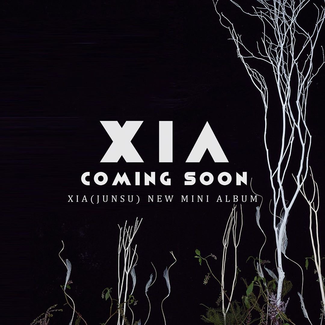 🌟 서로가 꿈꿔온 시간으로 함께 가는 여정속에 단 한 사람만을 위한 피터팬🌟 🍃🌿🍀🌴
#김준수 #준수 #시아준수 #ジュンス #XIA #JUNSU #金俊秀 #Pit_A_Pat #11월10일 #미니앨범